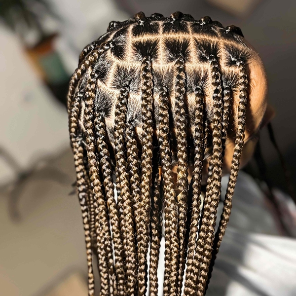 salon de coiffure afro tresse tresses box braids crochet braids vanilles tissages paris 75 77 78 91 92 93 94 95 ZLJJRUNS