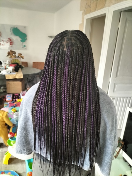 salon de coiffure afro tresse tresses box braids crochet braids vanilles tissages paris 75 77 78 91 92 93 94 95 NGCQHSHH