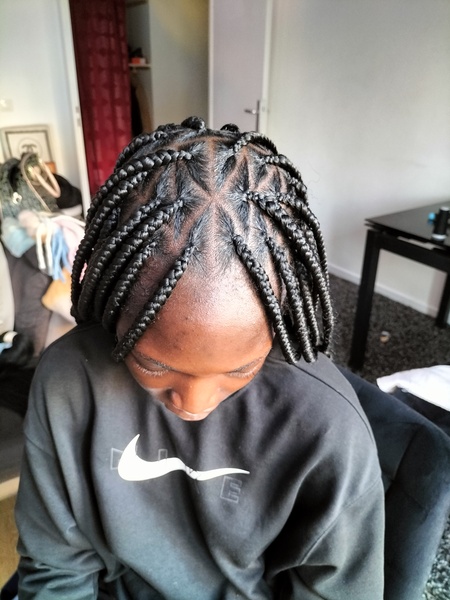 salon de coiffure afro tresse tresses box braids crochet braids vanilles tissages paris 75 77 78 91 92 93 94 95 EXCSNQIJ