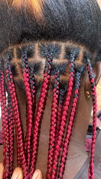 salon de coiffure afro tresse tresses box braids crochet braids vanilles tissages paris 75 77 78 91 92 93 94 95 NTIXDFAX