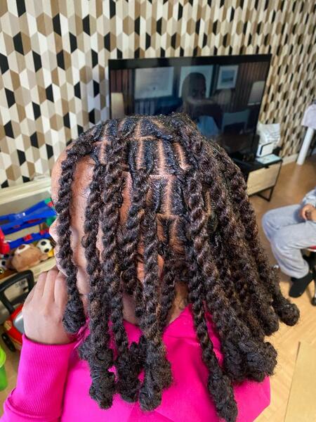 salon de coiffure afro tresse tresses box braids crochet braids vanilles tissages paris 75 77 78 91 92 93 94 95 MZUCYYKM