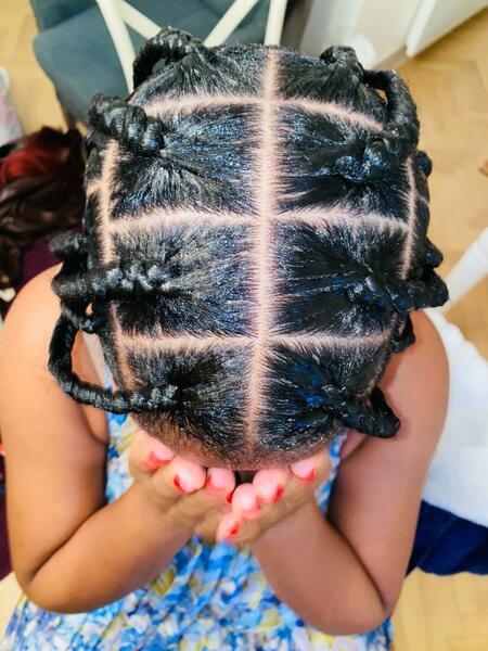salon de coiffure afro tresse tresses box braids crochet braids vanilles tissages paris 75 77 78 91 92 93 94 95 GTEJEWLO