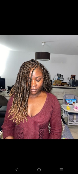 salon de coiffure afro tresse tresses box braids crochet braids vanilles tissages paris 75 77 78 91 92 93 94 95 OBCHTBEE