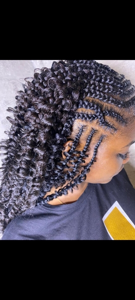 salon de coiffure afro tresse tresses box braids crochet braids vanilles tissages paris 75 77 78 91 92 93 94 95 HRKQCWZF