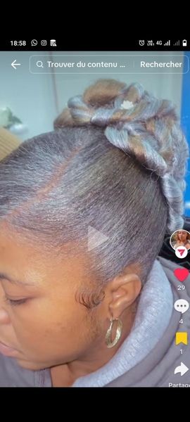 salon de coiffure afro tresse tresses box braids crochet braids vanilles tissages paris 75 77 78 91 92 93 94 95 IIKJQCJG