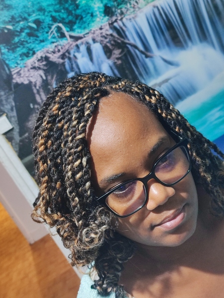 salon de coiffure afro tresse tresses box braids crochet braids vanilles tissages paris 75 77 78 91 92 93 94 95 DVLRYJNT