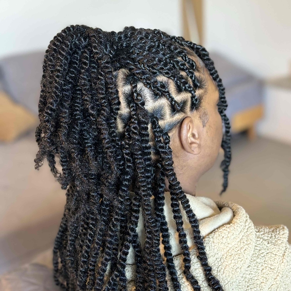 salon de coiffure afro tresse tresses box braids crochet braids vanilles tissages paris 75 77 78 91 92 93 94 95 ECLTHFAZ