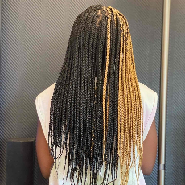 salon de coiffure afro tresse tresses box braids crochet braids vanilles tissages paris 75 77 78 91 92 93 94 95 LCUFNAWJ