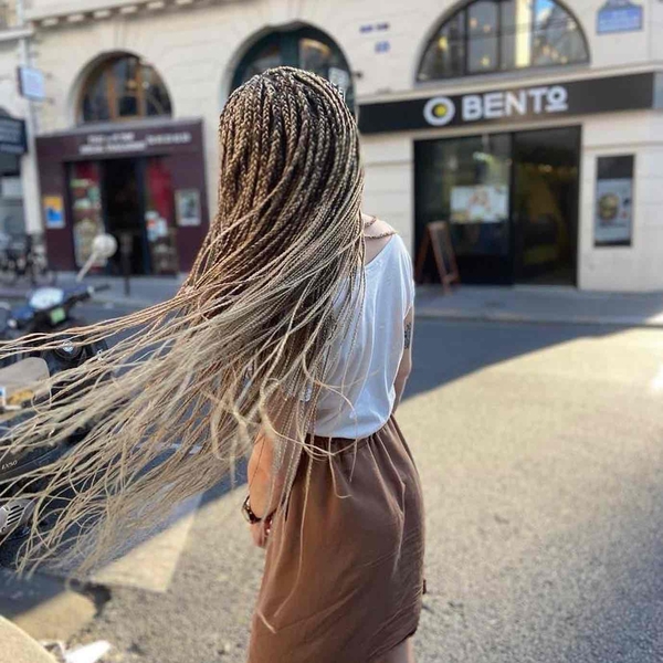 salon de coiffure afro tresse tresses box braids crochet braids vanilles tissages paris 75 77 78 91 92 93 94 95 HIITYIKR