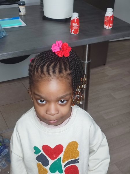 salon de coiffure afro tresse tresses box braids crochet braids vanilles tissages paris 75 77 78 91 92 93 94 95 EHIENFGC