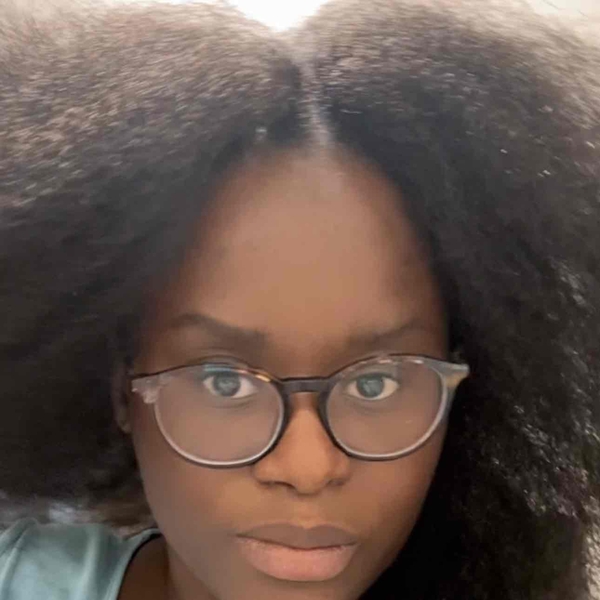 salon de coiffure afro tresse tresses box braids crochet braids vanilles tissages paris 75 77 78 91 92 93 94 95 KLGSHSPH