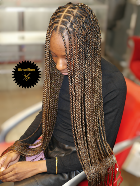 salon de coiffure afro tresse tresses box braids crochet braids vanilles tissages paris 75 77 78 91 92 93 94 95 ILQJCYSB