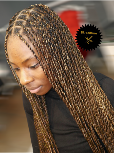 salon de coiffure afro tresse tresses box braids crochet braids vanilles tissages paris 75 77 78 91 92 93 94 95 LEYWOAVR