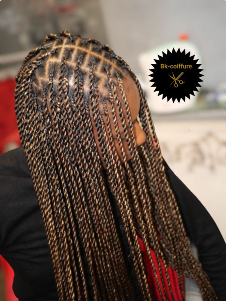 salon de coiffure afro tresse tresses box braids crochet braids vanilles tissages paris 75 77 78 91 92 93 94 95 EWCFPDRM