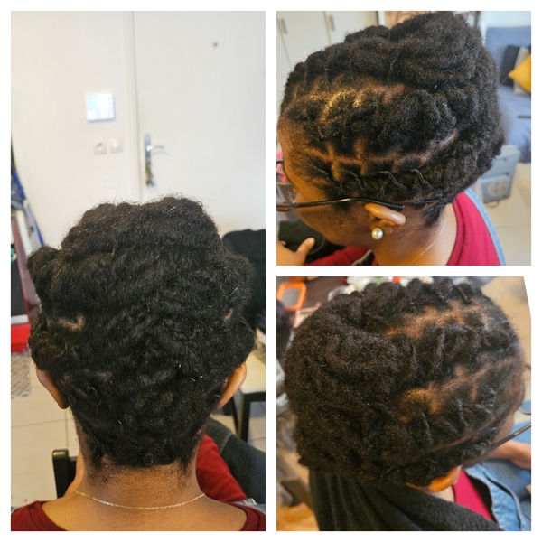 salon de coiffure afro tresse tresses box braids crochet braids vanilles tissages paris 75 77 78 91 92 93 94 95 ELEWDZER
