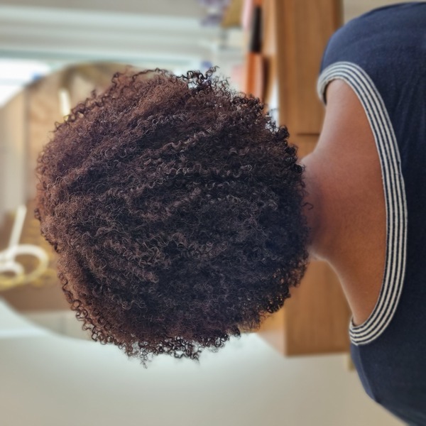 salon de coiffure afro tresse tresses box braids crochet braids vanilles tissages paris 75 77 78 91 92 93 94 95 USNOXUKI