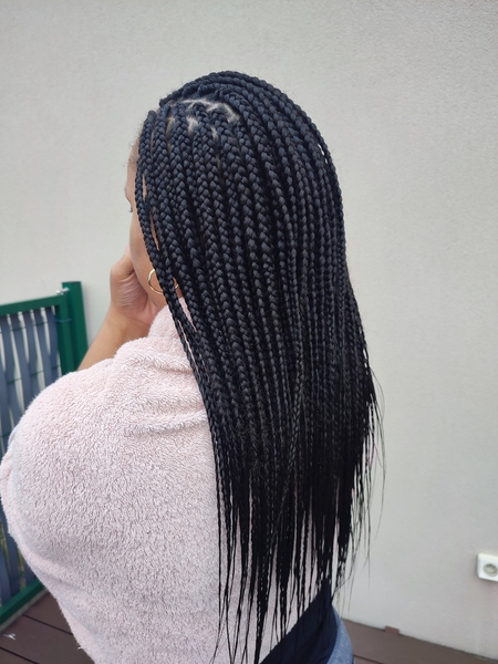 salon de coiffure afro tresse tresses box braids crochet braids vanilles tissages paris 75 77 78 91 92 93 94 95 LXTEFMMX