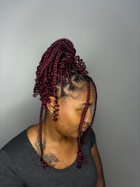 salon de coiffure afro tresse tresses box braids crochet braids vanilles tissages paris 75 77 78 91 92 93 94 95 PPLOZSMP