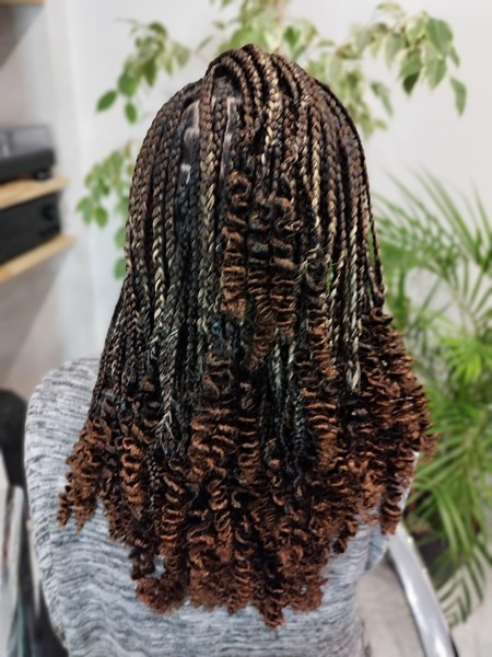 salon de coiffure afro tresse tresses box braids crochet braids vanilles tissages paris 75 77 78 91 92 93 94 95 TYQAUMTQ