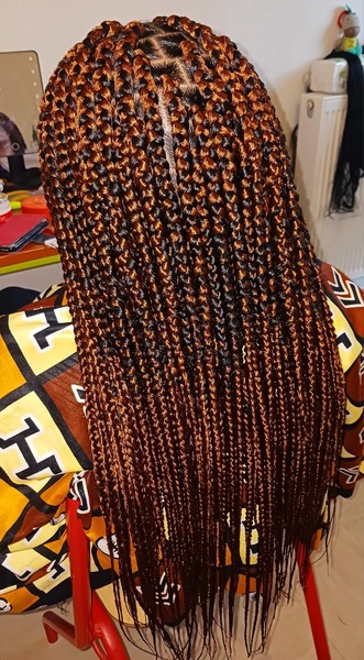salon de coiffure afro tresse tresses box braids crochet braids vanilles tissages paris 75 77 78 91 92 93 94 95 VUUDPNNK