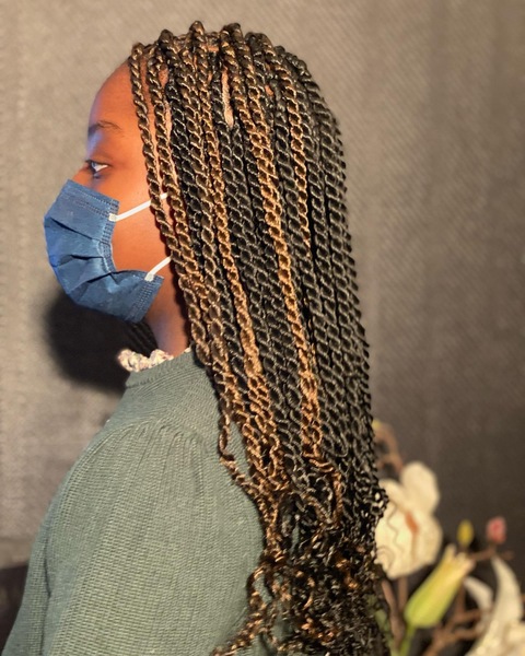 salon de coiffure afro tresse tresses box braids crochet braids vanilles tissages paris 75 77 78 91 92 93 94 95 SHMDRLEE