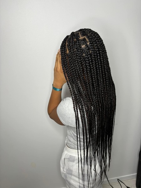 salon de coiffure afro tresse tresses box braids crochet braids vanilles tissages paris 75 77 78 91 92 93 94 95 CQZWYOPX