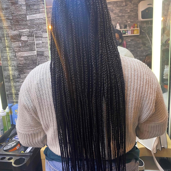 salon de coiffure afro tresse tresses box braids crochet braids vanilles tissages paris 75 77 78 91 92 93 94 95 ALNRQZXM