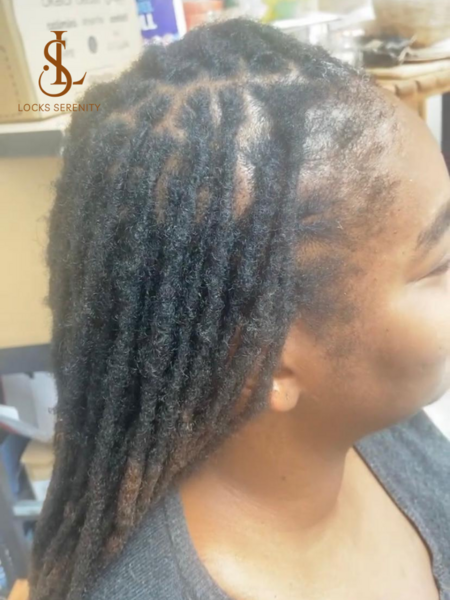salon de coiffure afro tresse tresses box braids crochet braids vanilles tissages paris 75 77 78 91 92 93 94 95 AKSTYTRJ