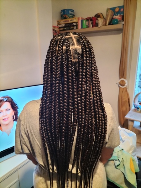 salon de coiffure afro tresse tresses box braids crochet braids vanilles tissages paris 75 77 78 91 92 93 94 95 EAHHROPN