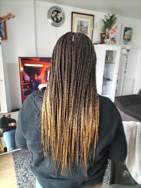 salon de coiffure afro tresse tresses box braids crochet braids vanilles tissages paris 75 77 78 91 92 93 94 95 IJWYCCNS