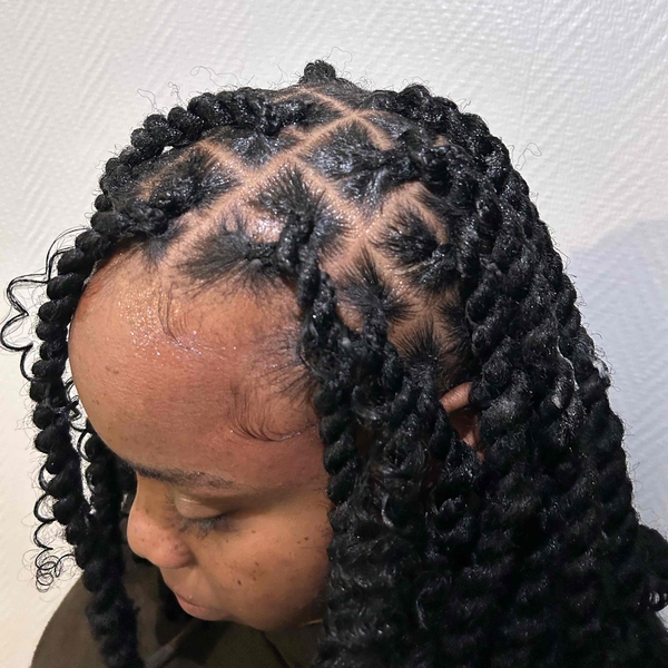 salon de coiffure afro tresse tresses box braids crochet braids vanilles tissages paris 75 77 78 91 92 93 94 95 OLGJCDTT