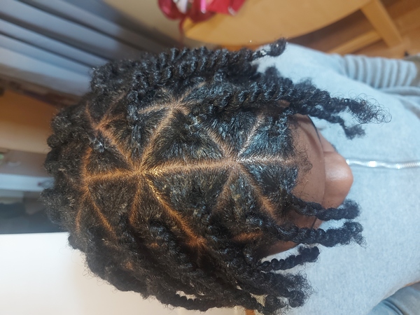 salon de coiffure afro tresse tresses box braids crochet braids vanilles tissages paris 75 77 78 91 92 93 94 95 URNLWDIJ