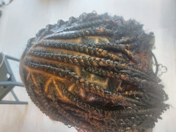 salon de coiffure afro tresse tresses box braids crochet braids vanilles tissages paris 75 77 78 91 92 93 94 95 LDURMKIX