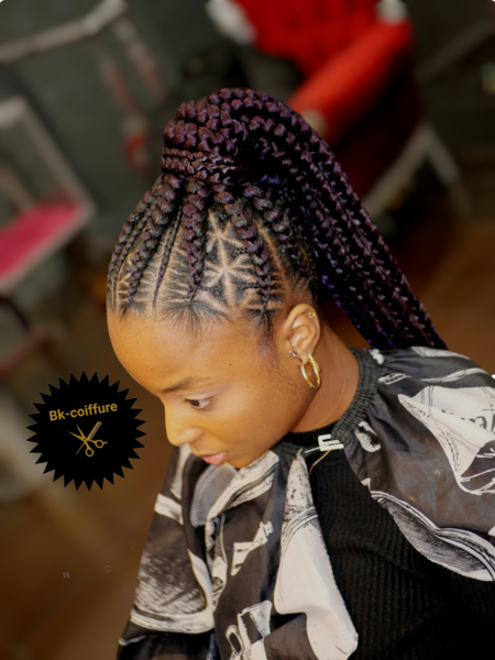 salon de coiffure afro tresse tresses box braids crochet braids vanilles tissages paris 75 77 78 91 92 93 94 95 DREYSMXC