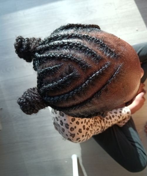 salon de coiffure afro tresse tresses box braids crochet braids vanilles tissages paris 75 77 78 91 92 93 94 95 SPSVZZTB