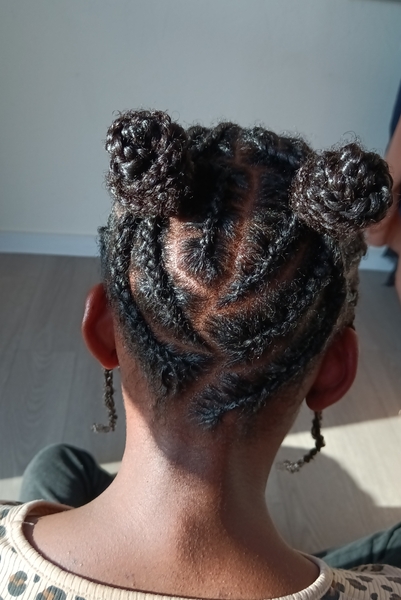 salon de coiffure afro tresse tresses box braids crochet braids vanilles tissages paris 75 77 78 91 92 93 94 95 TNQCOWPD