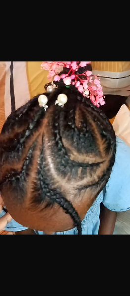 salon de coiffure afro tresse tresses box braids crochet braids vanilles tissages paris 75 77 78 91 92 93 94 95 NTTFJQLP