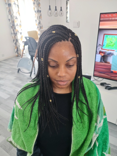 salon de coiffure afro tresse tresses box braids crochet braids vanilles tissages paris 75 77 78 91 92 93 94 95 AOGMXGSA