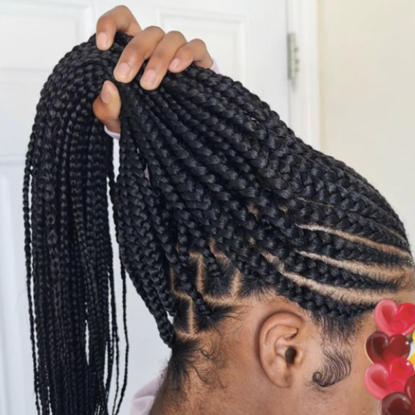 salon de coiffure afro tresse tresses box braids crochet braids vanilles tissages paris 75 77 78 91 92 93 94 95 ASCZYHSW