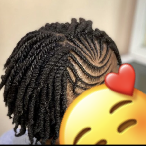 salon de coiffure afro tresse tresses box braids crochet braids vanilles tissages paris 75 77 78 91 92 93 94 95 NXUEFHLC