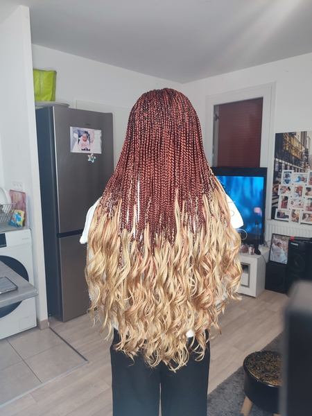 salon de coiffure afro tresse tresses box braids crochet braids vanilles tissages paris 75 77 78 91 92 93 94 95 EHVSLJGV
