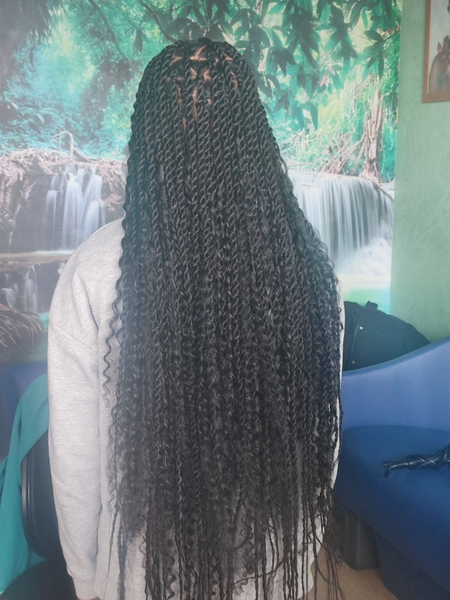 salon de coiffure afro tresse tresses box braids crochet braids vanilles tissages paris 75 77 78 91 92 93 94 95 CTFPTOWM