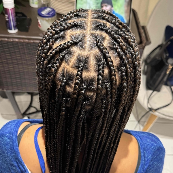 salon de coiffure afro tresse tresses box braids crochet braids vanilles tissages paris 75 77 78 91 92 93 94 95 VRARYWHG