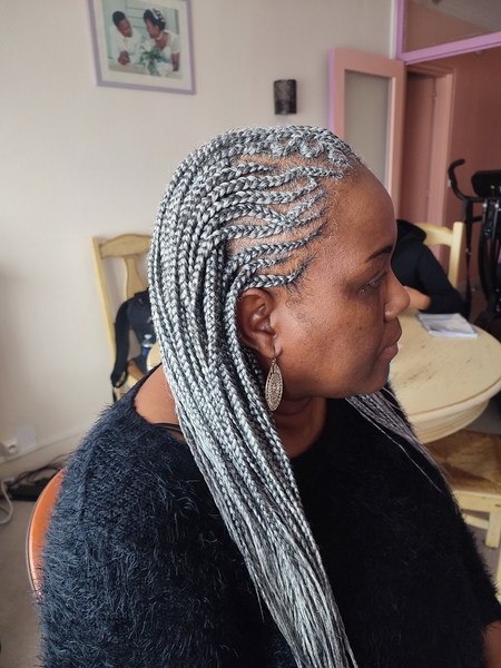 salon de coiffure afro tresse tresses box braids crochet braids vanilles tissages paris 75 77 78 91 92 93 94 95 UBCUEAHS