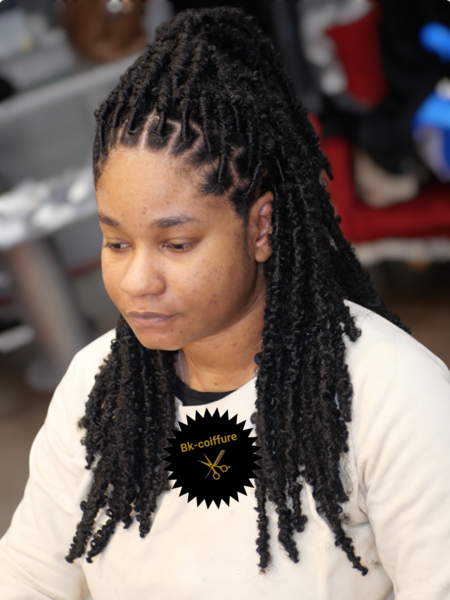 salon de coiffure afro tresse tresses box braids crochet braids vanilles tissages paris 75 77 78 91 92 93 94 95 EMNFMQNX