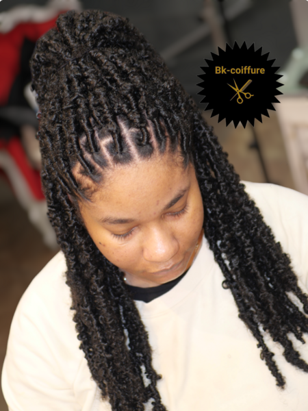 salon de coiffure afro tresse tresses box braids crochet braids vanilles tissages paris 75 77 78 91 92 93 94 95 HBQZJWPG