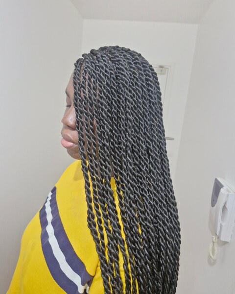salon de coiffure afro tresse tresses box braids crochet braids vanilles tissages paris 75 77 78 91 92 93 94 95 DZBBJYXY