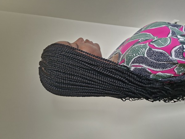 salon de coiffure afro tresse tresses box braids crochet braids vanilles tissages paris 75 77 78 91 92 93 94 95 WSLSHXPA