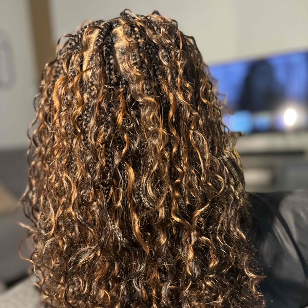 salon de coiffure afro tresse tresses box braids crochet braids vanilles tissages paris 75 77 78 91 92 93 94 95 RYSINNGN
