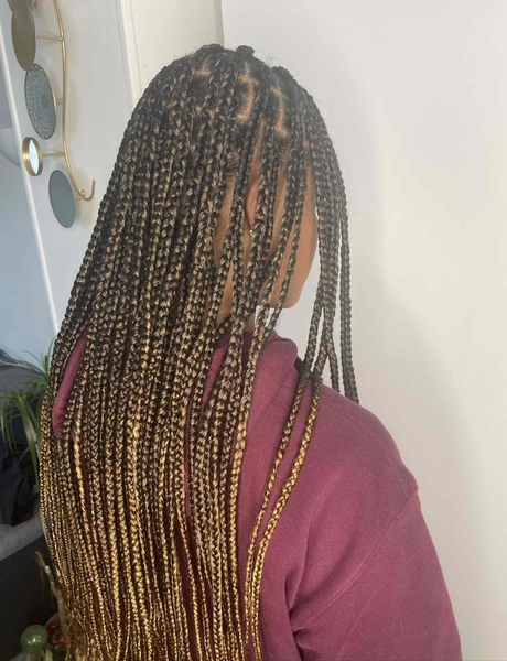 salon de coiffure afro tresse tresses box braids crochet braids vanilles tissages paris 75 77 78 91 92 93 94 95 PROKJHWV